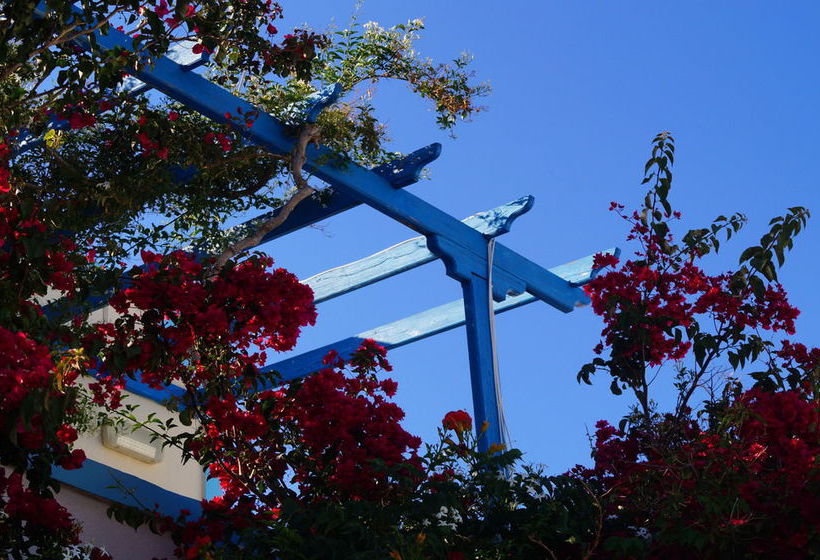 Petros Studios  | Poros | Kefalonia | Greece 15