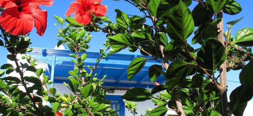 Pension Studios Tasia  | Naxos | Naxos Island | Greece 1