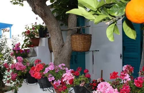 Pension Studios Tasia  | Naxos | Naxos Island | Greece 18