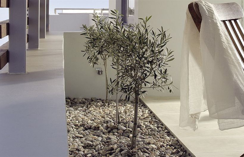 Brasil Suites Hotel Apartments  | Glyfada | Attica | Greece 6