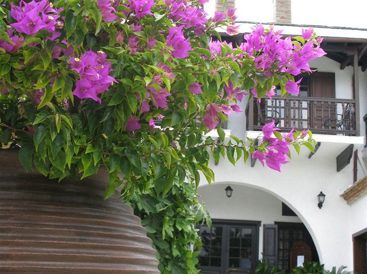 Hotel Prince Stafylos  | Skopelos | Sporades | Greece 15