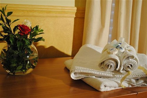 Hotel Ideal  | Athens | Attica | Greece 12