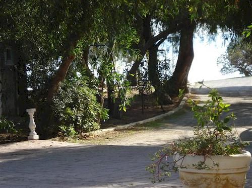 Hotel Sun  | Kineta | Attica | Greece 20