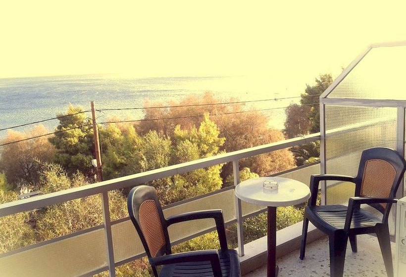 Hotel Sun  | Kineta | Attica | Greece 5