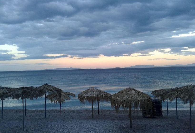 Hotel Sun  | Kineta | Attica | Greece 7