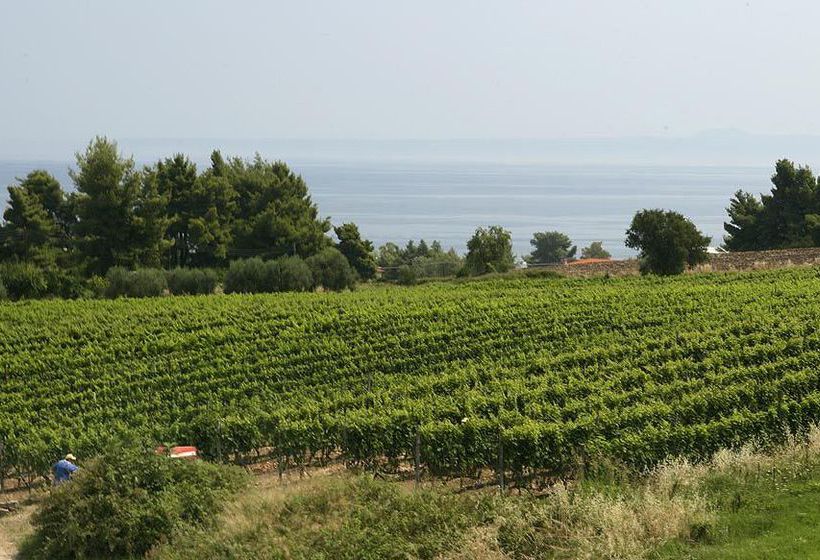 Hotel Athos Palace  | Kalithea | Halkidiki | Greece 9