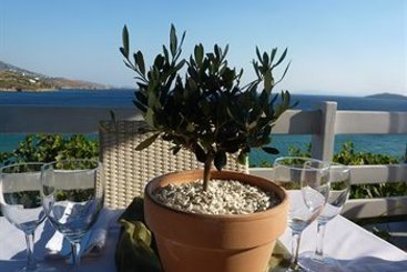 Hotel Perrakis  | Andros | Cyclades | Greece 6