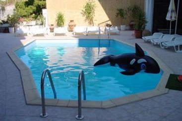 Hotel Argo  | Aegina | Saronic Islands | Greece 1