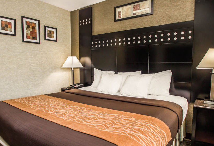 Hotel Rodeway Inn Bronx  | Bronx | Nueva York | United States 20