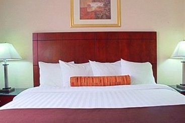 Hotel Best Western Plus Arena  | Brooklyn | Nueva York | United States 3