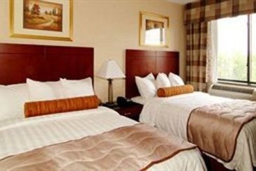 Hotel Best Western Plus Arena  | Brooklyn | Nueva York | United States 7