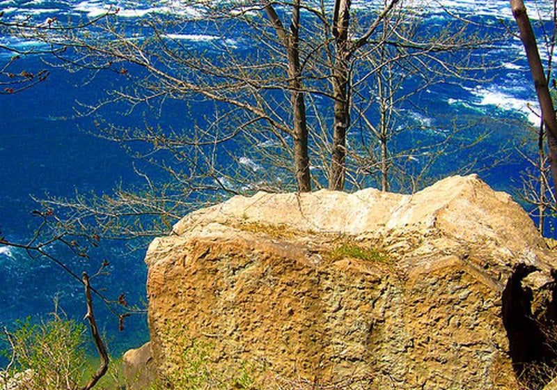 Hotel Hampton Inn Niagara Falls  | Niagara Falls | Nueva York | United States 1