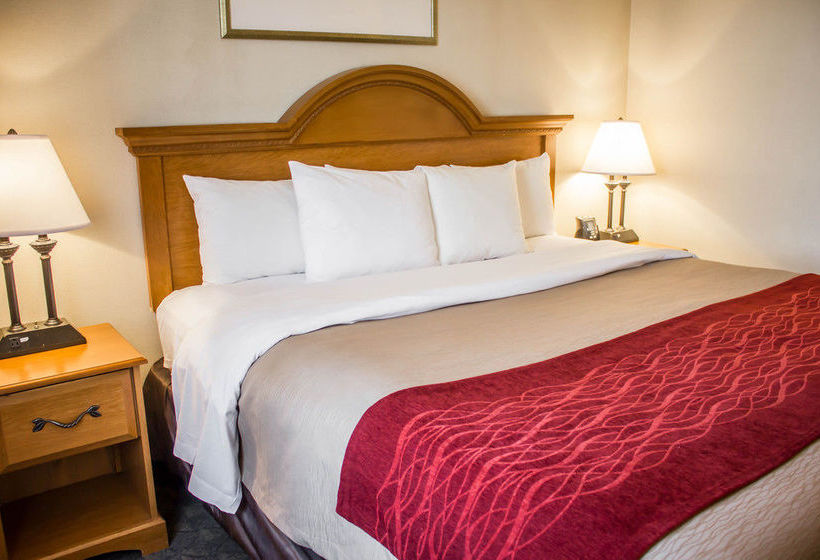 Hotel Comfort Inn Jfk Airport  | Jamaica - Long Island | Nueva York | United States 4