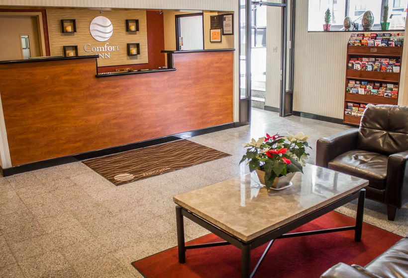 Hotel Comfort Inn Jfk Airport  | Jamaica - Long Island | Nueva York | United States 6