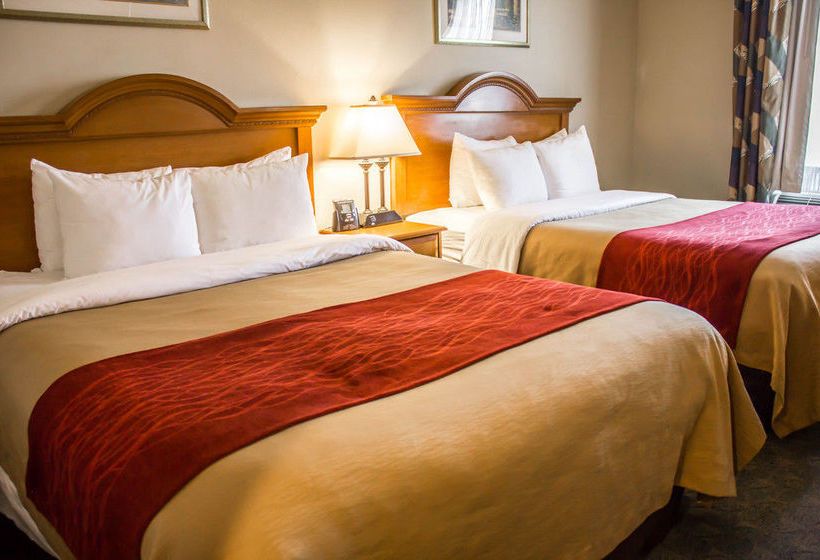 Hotel Comfort Inn Jfk Airport  | Jamaica - Long Island | Nueva York | United States 8