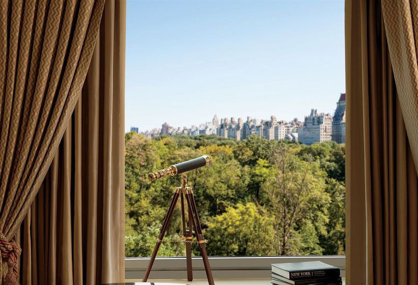 Hotel The Ritz-Carlton New York, Central Park  | New York | Nueva York | United States 6
