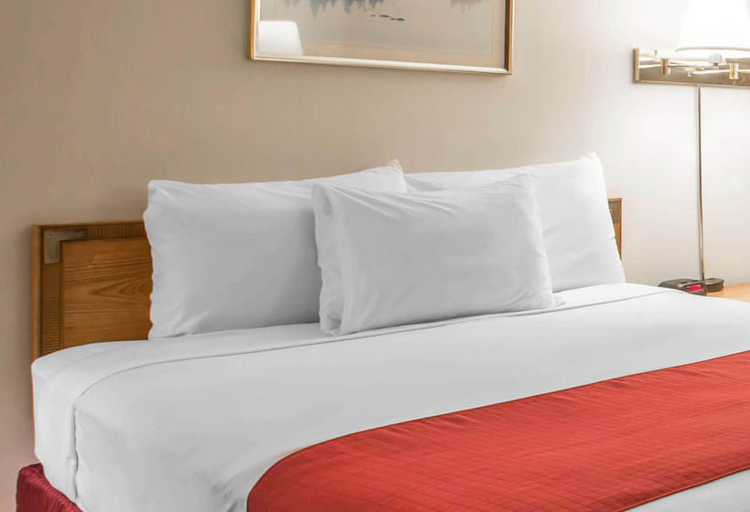 Hotel Econo Lodge  | Lake Placid | Nueva York | United States 8