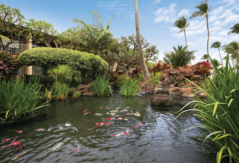 Outrigger Napili Shores Resort  | Lahaina | Hawaii | Vereinigte Staaten 8