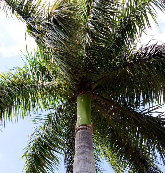 Hotel Hilton Suites Boca Raton  | Boca Raton | Florida | Estados Unidos 15