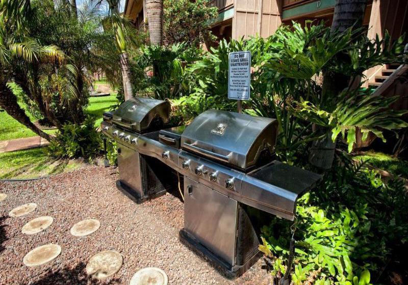 Kihei Bay Vista Condo & Home  | Kihei | Hawaii | United States 3