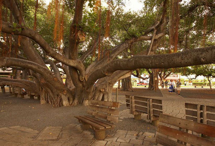 Lahaina Shores Beach Resort  | Lahaina | Hawaii | United States 2