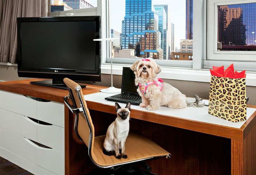 Doubletree Metropolitan Hotel New York City  | New York | Nueva York | United States 2