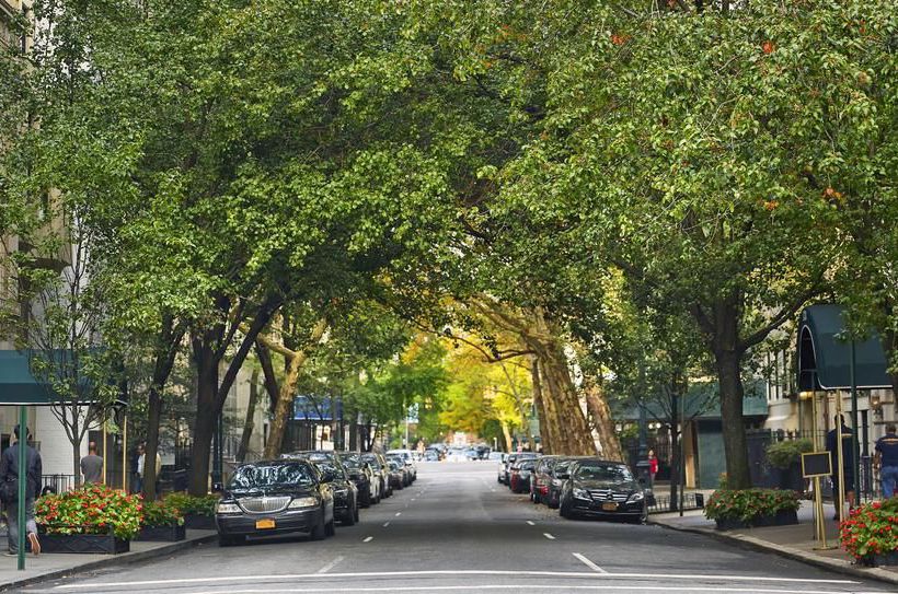 Hotel Affinia Gardens  | New York | Nueva York | United States 16