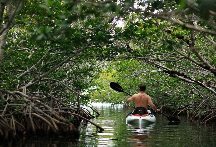 Hilton Key Largo Resort  | Key Largo | Florida | United States 12