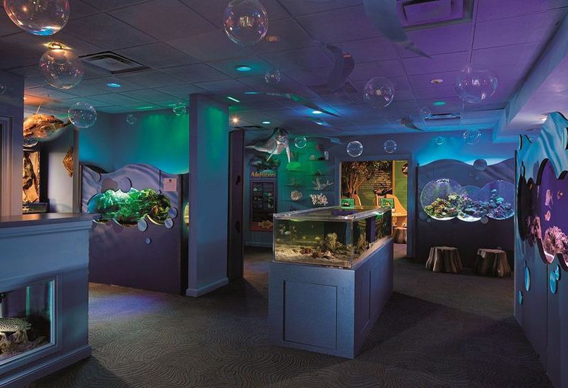 Hotel The Ritz-Carlton, Naples Naples Florida