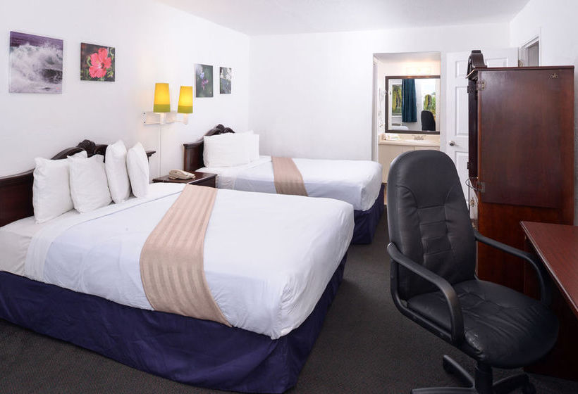 Hotel Travelodge Clearwater Central  | Clearwater | Florida | United States 19