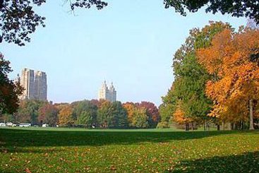 Hotel Park Savoy  | New York | Nueva York | United States 5