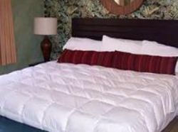 Hotel A Little Inn by the Sea  | Lauderdale by the Sea | Florida | United States 3