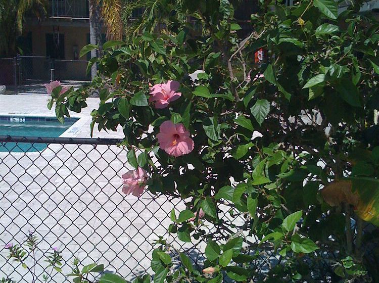 Hotel Rodeway Inn & Suites Key Largo  | Key Largo | Florida | United States 3