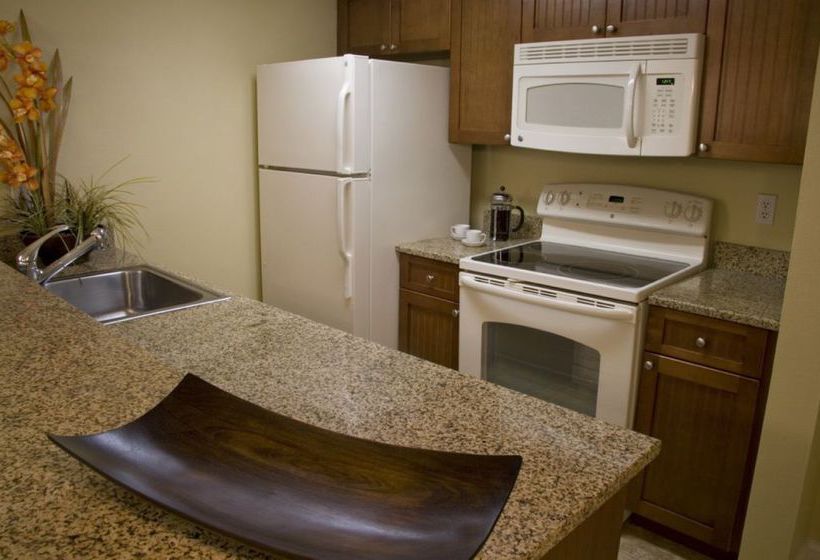 Treasure Cove Motel  | Ormond Beach | Florida | United States 18