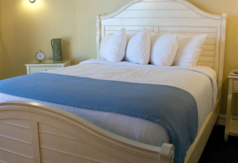 Treasure Cove Motel  | Ormond Beach | Florida | United States 4