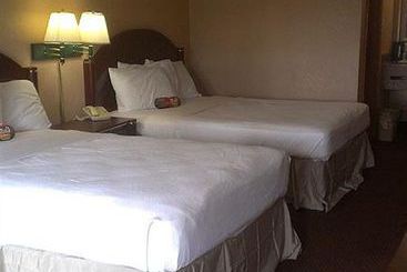 Hotel Magnuson Budget Inn Pinellas Park 
