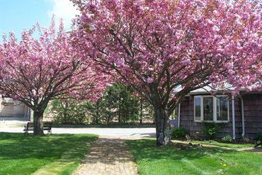 Hotel Baron's Cove Inn   | Sag Harbor | Nueva York | United States 6