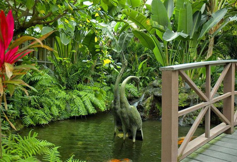 Hotel Best Western Naples Inn & Suites  | Naples | Florida | United States 7