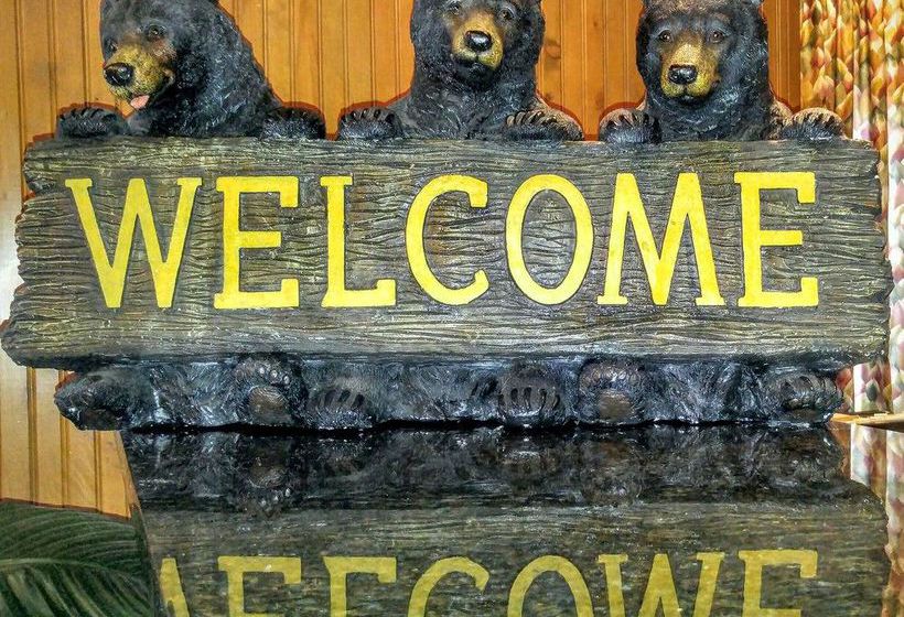 Hotel Cabot Lodge Gainesville  | Gainesville | Florida | United States 8