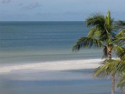 Hotel Caribbean Beach Club  | Fort Myers Beach | Florida | Estados Unidos 10