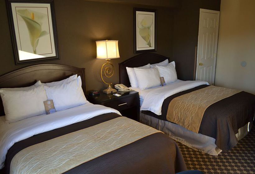 Hotel Comfort Inn  | Ithaca | Nueva York | Vereinigte Staaten 20