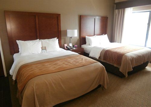 Hôtel Comfort Inn & Executive Suites  | Naples | Florida | Hôtels aux États-Unis 8