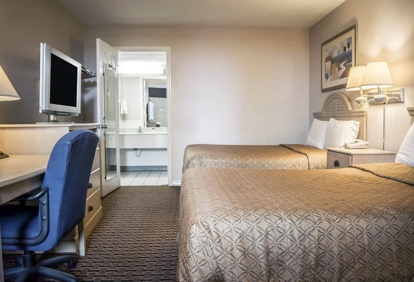 Hotel Econo Lodge Inn & Suites New Port Richey  | New Port Richey | Florida | United States 14