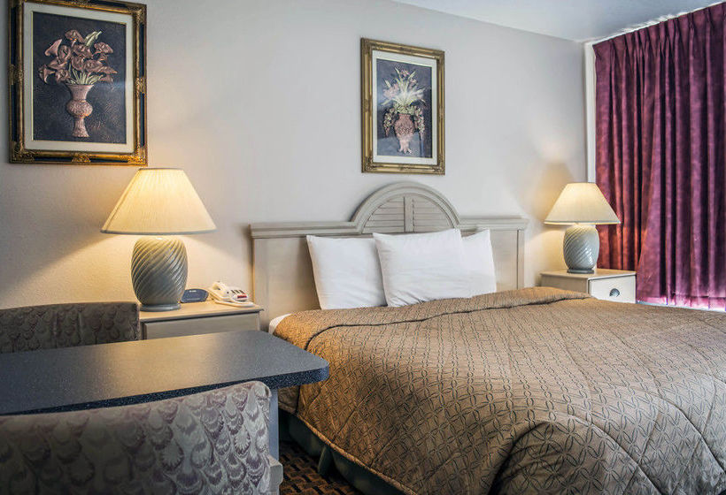 Hotel Econo Lodge Inn & Suites New Port Richey  | New Port Richey | Florida | United States 9