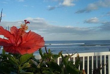 Hotel Coral Sands Inn & Seaside Cottage  | Ormond Beach | Florida | United States 1
