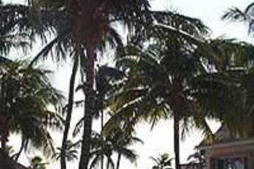 Chesapeake Resort Ocean Front Florida