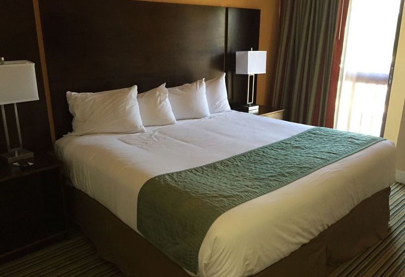 Hotel Guest Suites of Boca Raton  | Boca Raton | Florida | United States 1