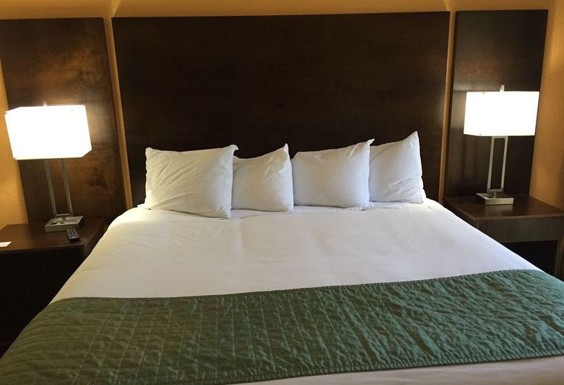 Hotel Guest Suites of Boca Raton  | Boca Raton | Florida | United States 3