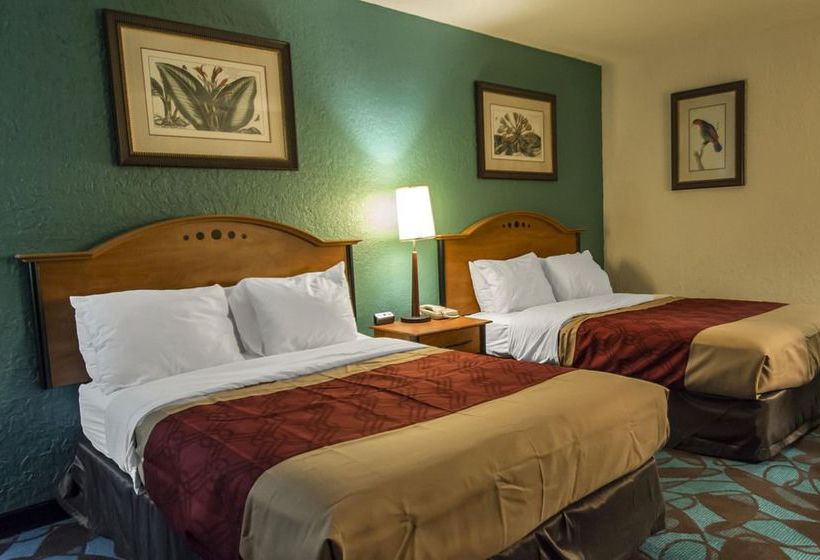 Hotel Econo Lodge Hollywood  | Hollywood | Florida | United States 11