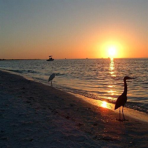 Hotel Gulfview Manor  | Fort Myers Beach | Florida | United States 9